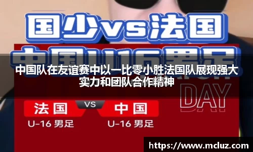78m威九国际(集团)中国区有限公司-BinG百科