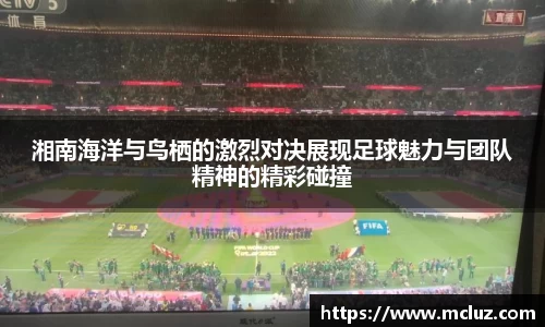 78m威九国际