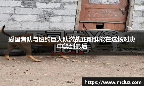 78m威九国际