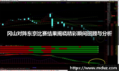 冈山对阵东京比赛结果揭晓精彩瞬间回顾与分析