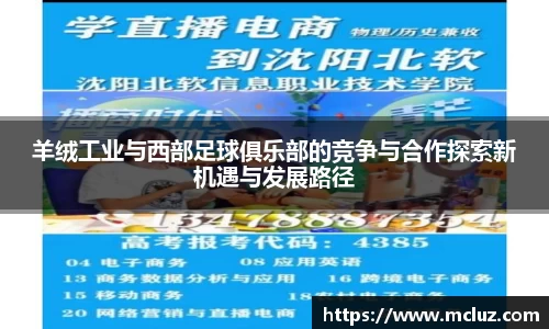 羊绒工业与西部足球俱乐部的竞争与合作探索新机遇与发展路径