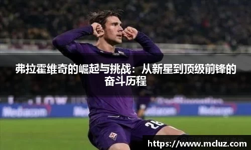 78m威九国际(集团)中国区有限公司-BinG百科